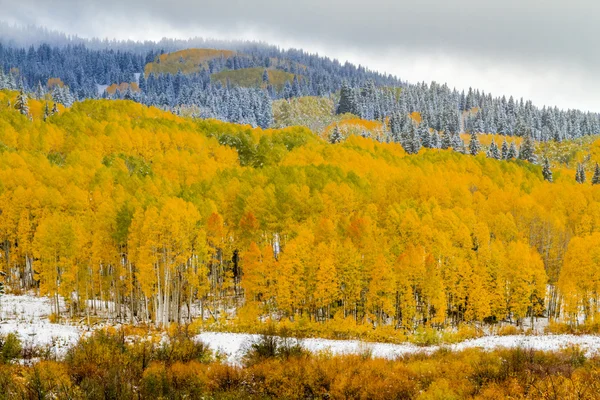 Caída de color y nieve en Colorado —  Fotos de Stock