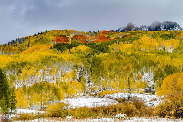 Herbst Farbe und Schnee in colorado — Stockfoto