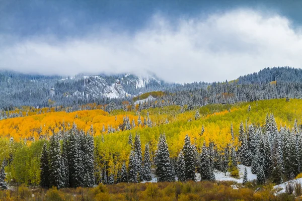 Caída de color y nieve en Colorado — Foto de Stock