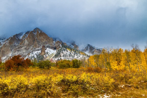 Осінь колір та снігу в Колорадо — стокове фото