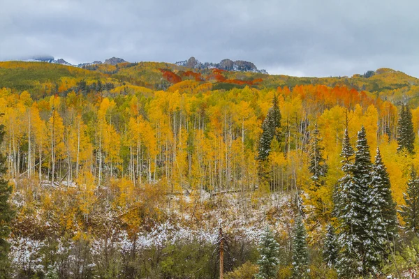 Осінь колір та снігу в Колорадо — стокове фото