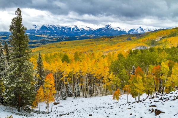 Colore autunno e neve in Colorado — Foto Stock