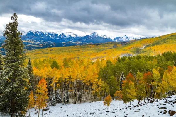 Colore autunno e neve in Colorado — Foto Stock