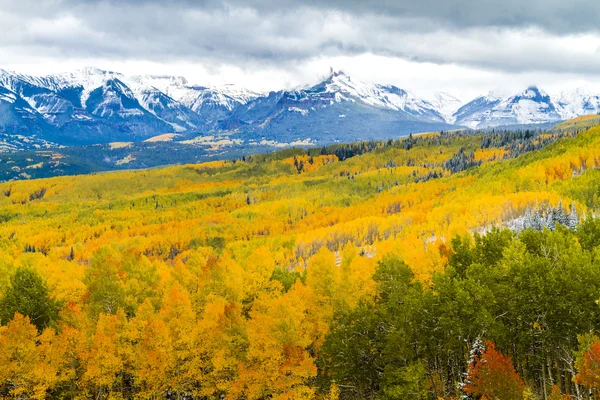 Höstfärg och snö i Colorado — Stockfoto