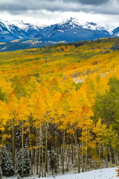 Couleur d'automne et neige dans le Colorado — Photo