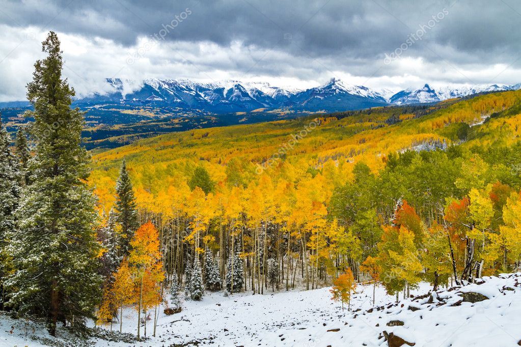 Fall Color and Snow in Colorado