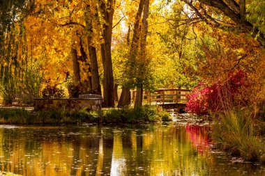 Sonbahar renkleri açık park