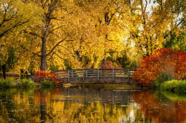 Sonbahar renkleri açık park