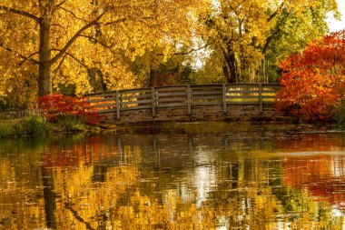 Sonbahar renkleri açık park