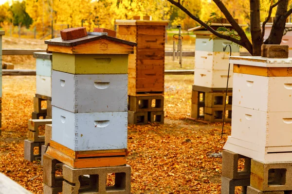 Aged Wooden Bee Hives in Autumn Setting — Stock Photo, Image