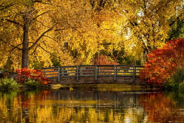 Őszi színek, szabadtéri parkban — Stock Fotó
