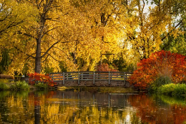 Fall Colors in Outdoor Park