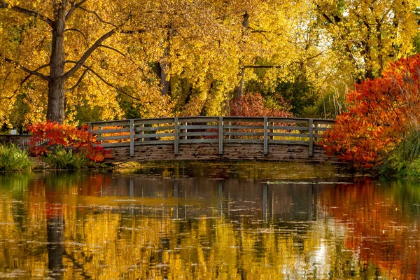 Őszi színek, szabadtéri parkban — Stock Fotó