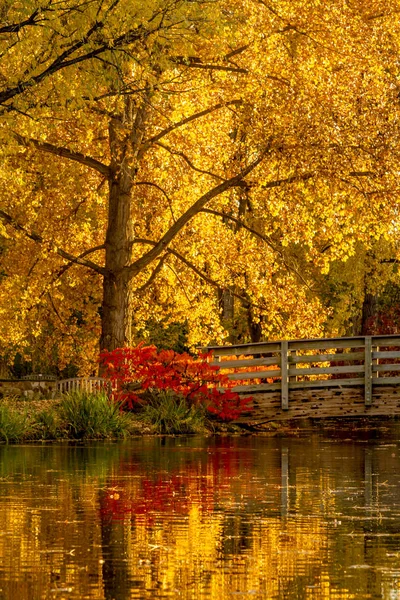 Осенние цвета в открытом парке — стоковое фото