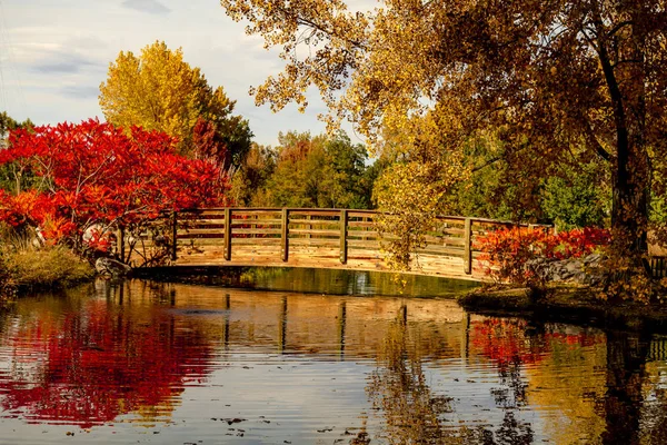 Sonbahar renkleri açık park - Stok İmaj