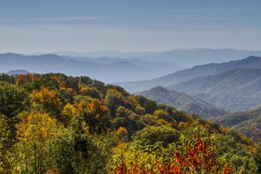 Fall in Great Smoky Mountains National Park clipart