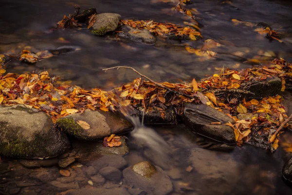 Fall in Great Smoky Mountains National Park — Stock Photo, Image