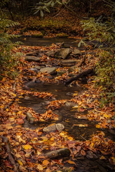 Herbst in großen rauchigen Bergen Nationalpark — Stockfoto