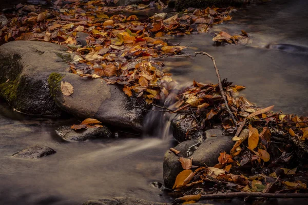 Fall in Great Smoky Mountains National Park — Stock Photo, Image