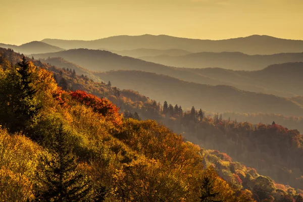 Zakochać się w parku narodowym Great Smoky Mountains — Zdjęcie stockowe