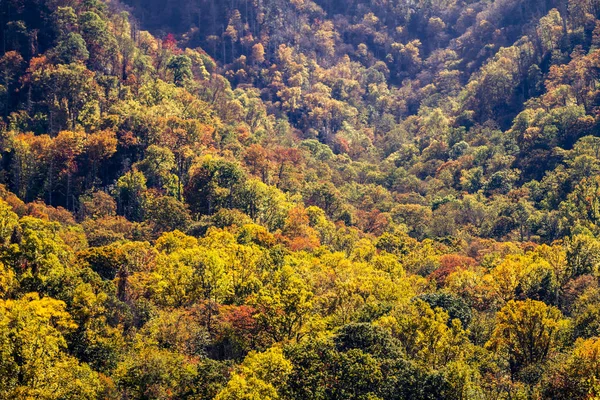 Queda em Great Smoky Mountains National Park — Fotografia de Stock