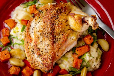 Ispanak Balkabagi tavuk dolması