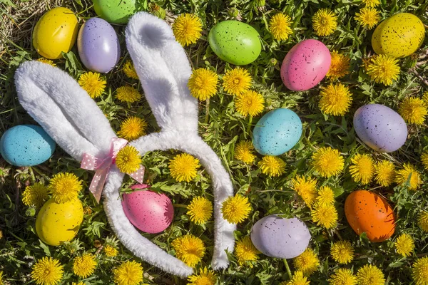 Dandelions flowers with Easter eggs — Stock Photo, Image