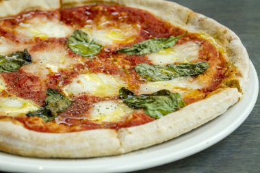 Taze organik fesleğen margherita pizza