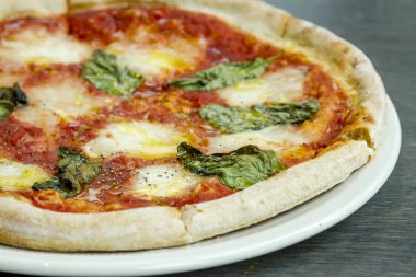 Taze organik fesleğen margherita pizza