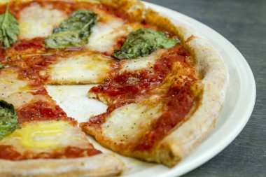 Taze organik fesleğen margherita pizza