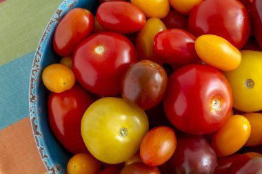 Kabın içinde Bahçe domates taze