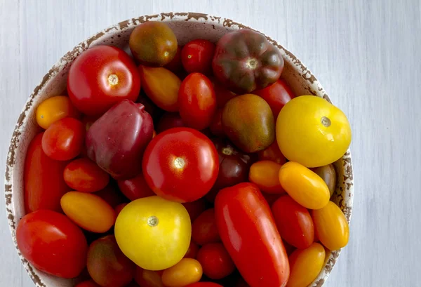 Čerstvý z zahradní rajčat v misce — Stock fotografie