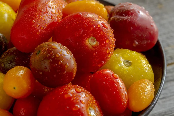 Fresco de tomates de jardim em tigela — Fotografia de Stock