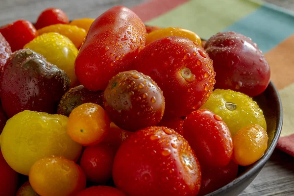 Färskt från trädgården tomater i skål — Stockfoto