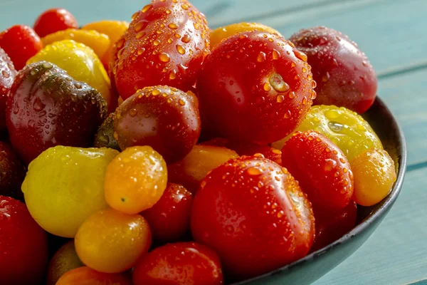 Čerstvý z zahradní rajčat v misce — Stock fotografie