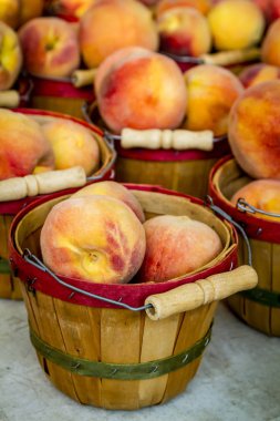 Yerel çiftçilere piyasa görüntüler