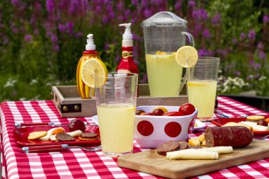 Kır çiçekleri alanında yaz pikniği