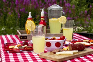 Kır çiçekleri alanında yaz pikniği