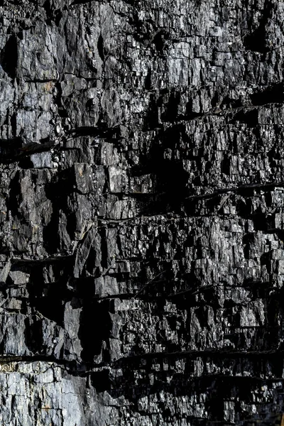 Black coal in canyon rock