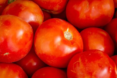 Taze organik kırmızı domates aldı