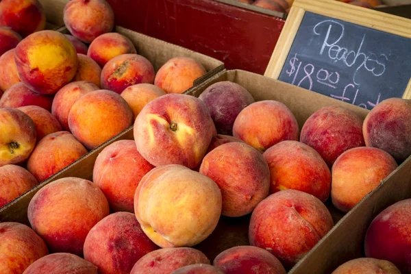 Vers geplukte perziken uit boomgaard — Stockfoto