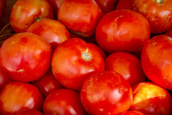 Tomates rojos ecológicos recién recogidos —  Fotos de Stock