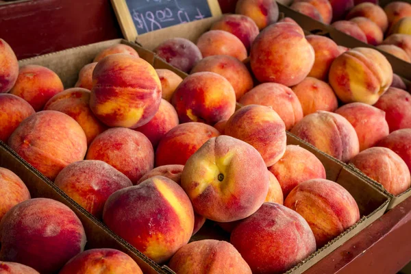 Fresh picked peaches from orchard — Stock Photo, Image