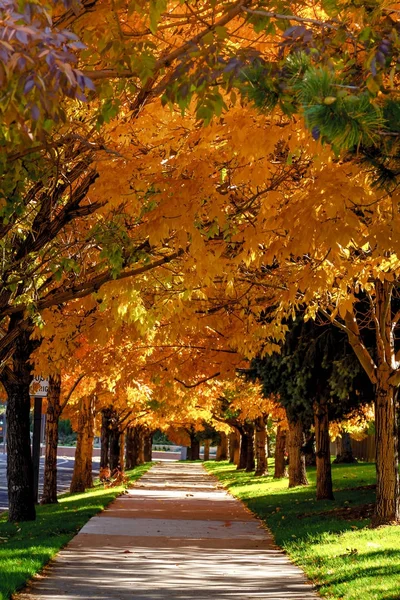 Couleurs d'automne à Denver Colorado Tech Center — Photo