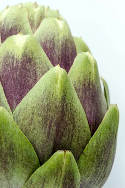 Close up of purple artichoke — Stock Photo, Image