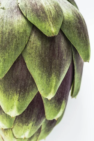 Close up of purple artichoke — Stock Photo, Image