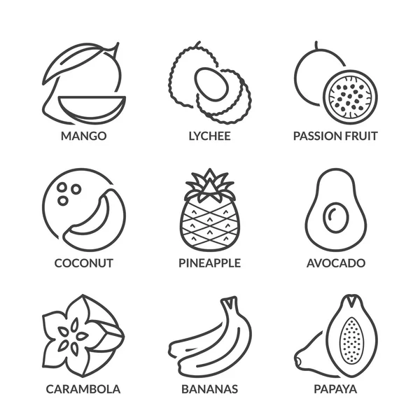 Icônes de base des fruits tropicaux ligne mince avec texte — Image vectorielle