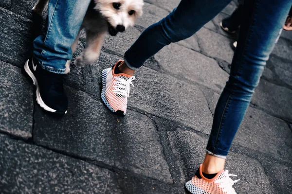 Köpeği gezdiriyorum.