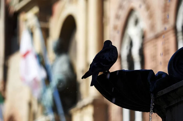 San Petronio Bolonya Heykeli