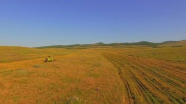 Havadan görünümü. Çiftlik birleştirmek büyük alan buğday hasat